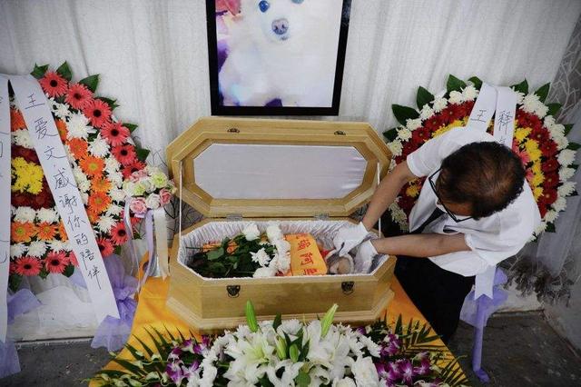 宠物殡葬业将在未来两年跻身为宠物行业的一大产业