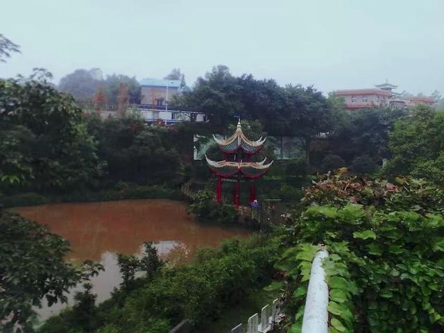 最美天使|董世维:我与殡葬的十年情缘
