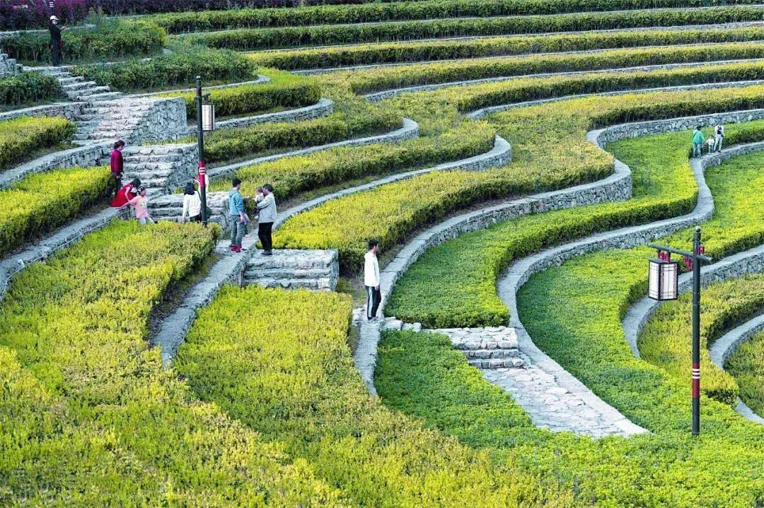 查看图片